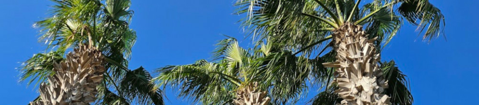 banner2